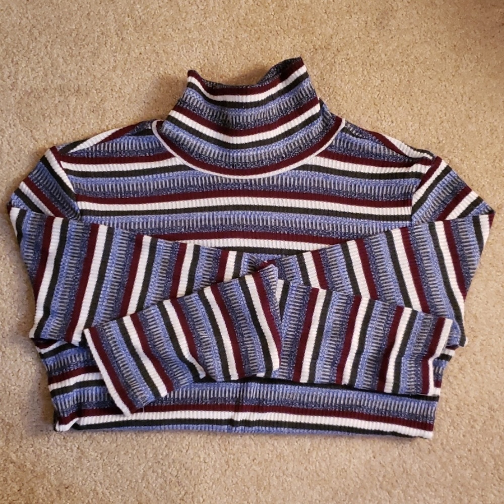 Striped Turtle Neck